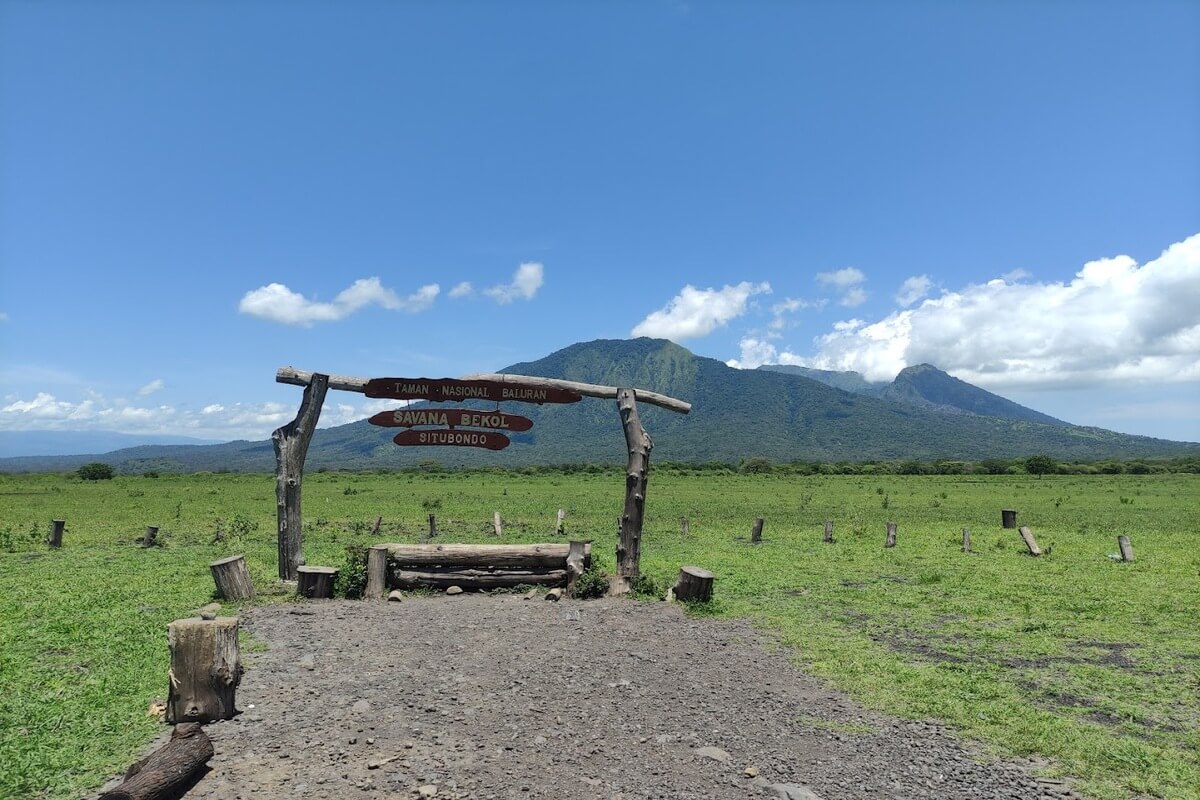 Taman Nasional Baluran