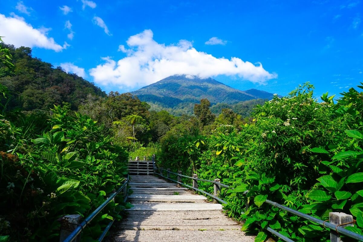 Taman Nasional Gunung Gede Pangrango – Sejarah, Harga Tiket, dan Jam Operasional