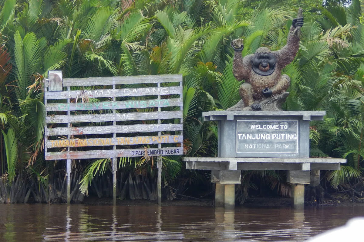 Taman Nasional Tanjung Puting